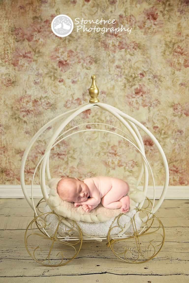 Adelaide | Newborn Session
