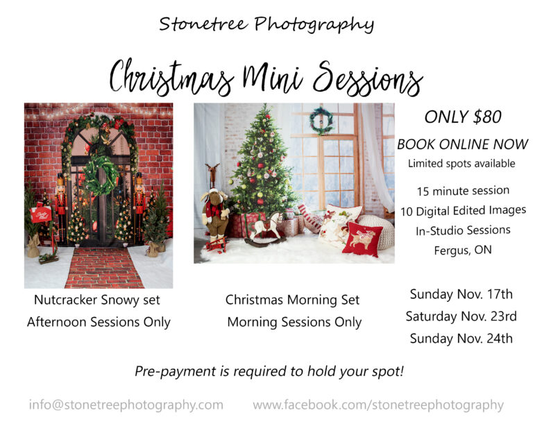 Christmas Mini-sessions l 2019