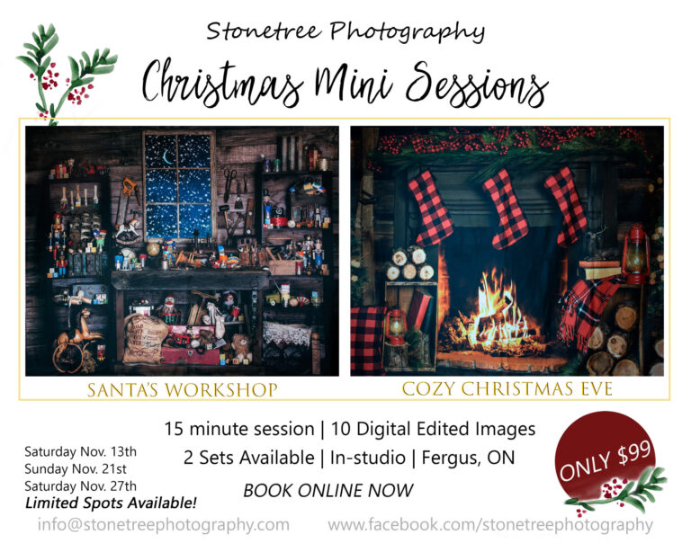 Christmas Mini Sessions 2021!!!