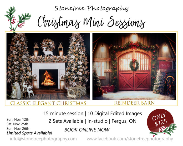 Christmas Mini Sessions 2023