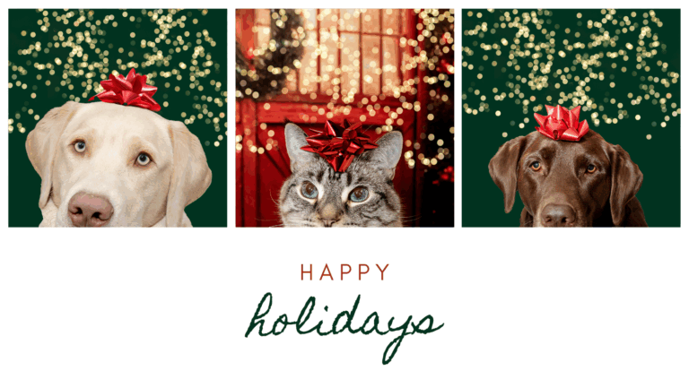 Happy New Year! | 2024