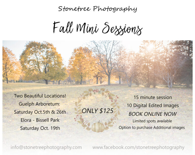 Fall Mini Sessions – 2024