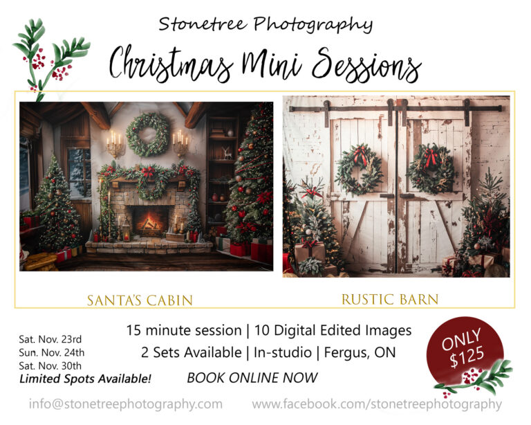 Christmas Mini Sessions | 2024