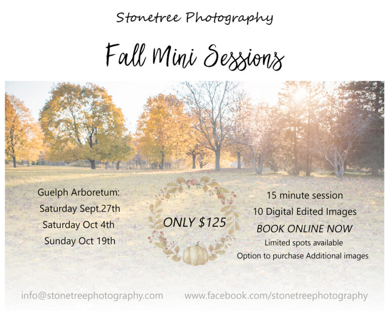 Fall Mini Session – 2025